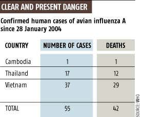 Stockpile bird flu vaccine now