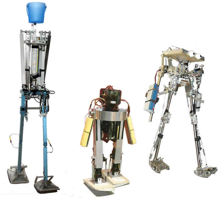 Rambling robots show human efficiency