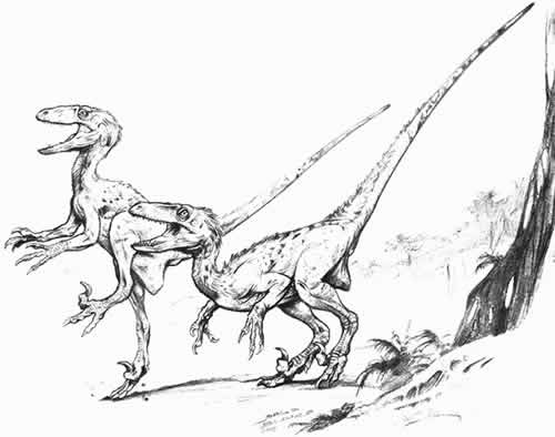 New Scientist. Science news and long reads from expert journalists, covering developments in science, technology, health and the environment on the website and the magazine.