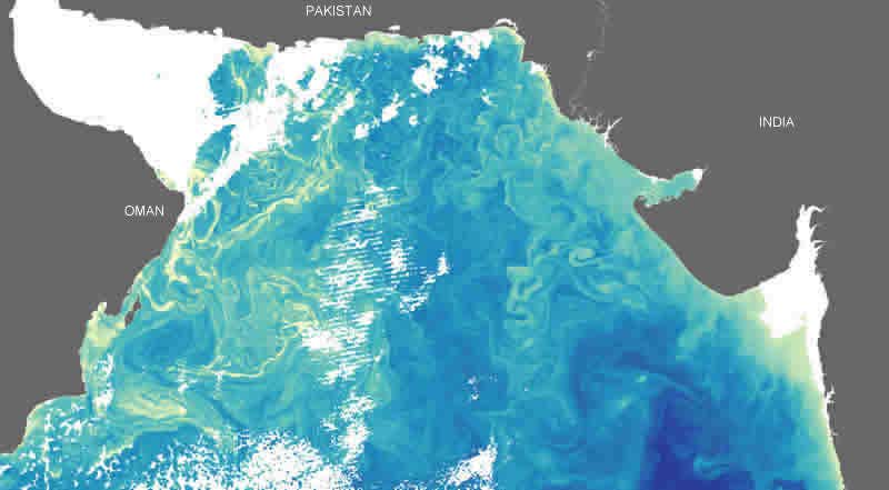 Swirling plumes of ocean life linked to floods
