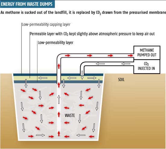 New Scientist. Science news and long reads from expert journalists, covering developments in science, technology, health and the environment on the website and the magazine.