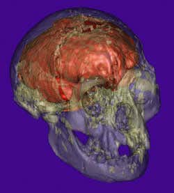 New Scientist. Science news and long reads from expert journalists, covering developments in science, technology, health and the environment on the website and the magazine.