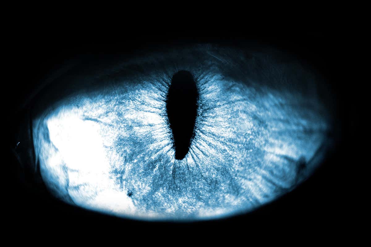 New Scientist. Science news and long reads from expert journalists, covering developments in science, technology, health and the environment on the website and the magazine.