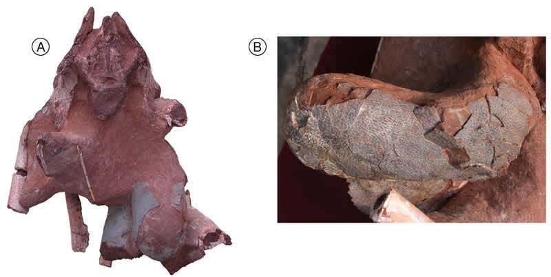 New Scientist. Science news and long reads from expert journalists, covering developments in science, technology, health and the environment on the website and the magazine.