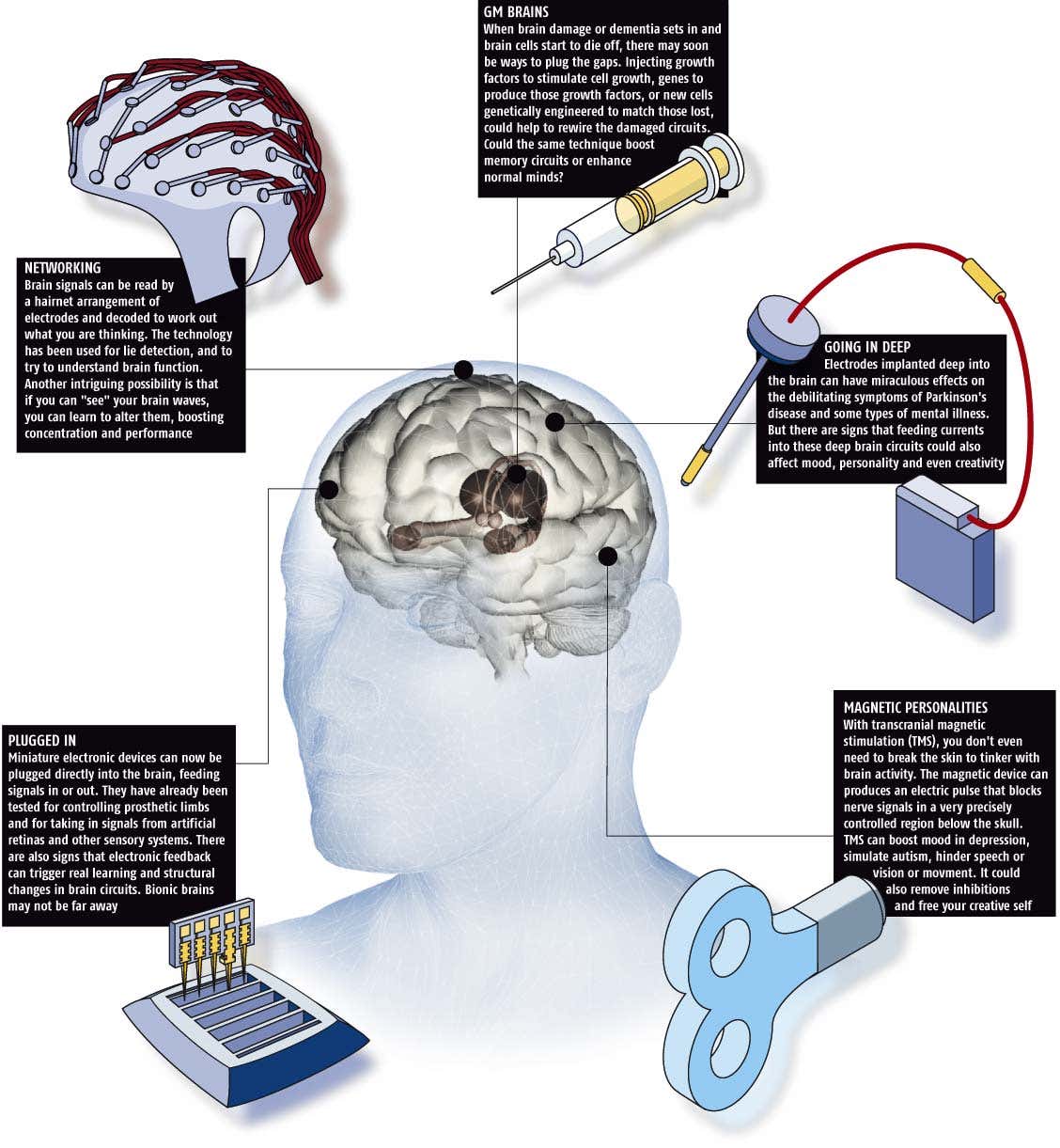 11 steps to a better brain