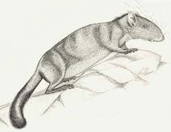 New Scientist. Science news and long reads from expert journalists, covering developments in science, technology, health and the environment on the website and the magazine.