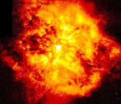 Star's erratic conduct hides predictable nature