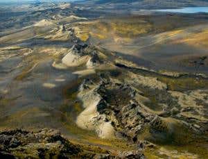 New Scientist. Science news and long reads from expert journalists, covering developments in science, technology, health and the environment on the website and the magazine.