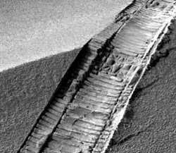 New Scientist. Science news and long reads from expert journalists, covering developments in science, technology, health and the environment on the website and the magazine.