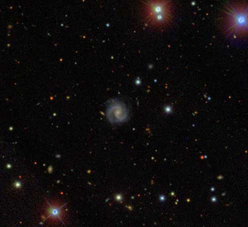 New Scientist. Science news and long reads from expert journalists, covering developments in science, technology, health and the environment on the website and the magazine.