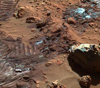 New Scientist. Science news and long reads from expert journalists, covering developments in science, technology, health and the environment on the website and the magazine.