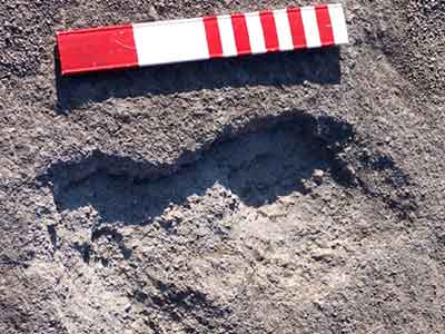 Footprints rewrite history of first Americans
