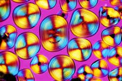 Micro-menaces blown up for image awards