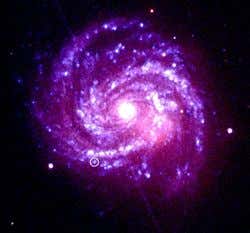 Supernova's record X-rays still glowing strong