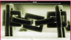 Small wonders, sculpted by laser