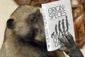 Creationism special: A battle for science's soul