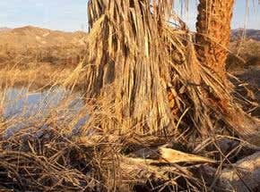 Tsunami early warning system on track