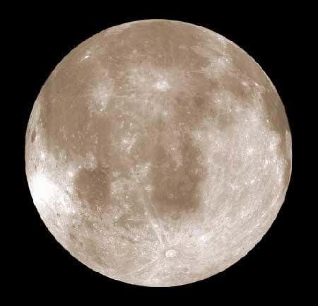 New Scientist. Science news and long reads from expert journalists, covering developments in science, technology, health and the environment on the website and the magazine.