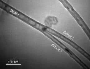 Y-shaped nanotubes are ready-made transistors