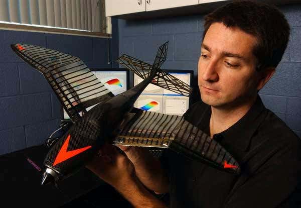Robotic spy-planes use shape-shifting wings
