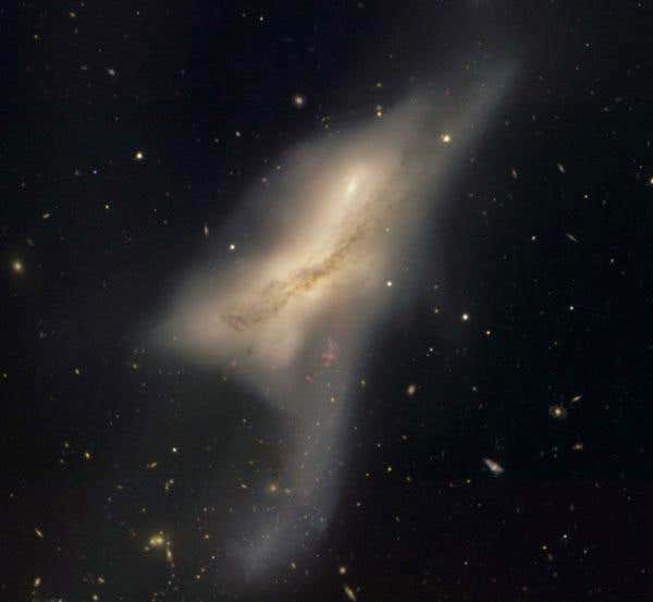 New Scientist. Science news and long reads from expert journalists, covering developments in science, technology, health and the environment on the website and the magazine.