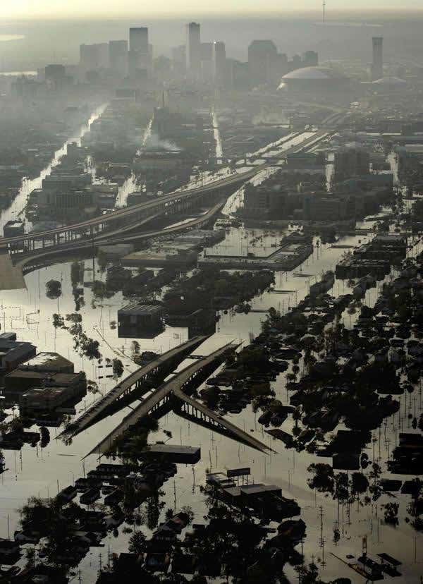 New Scientist. Science news and long reads from expert journalists, covering developments in science, technology, health and the environment on the website and the magazine.