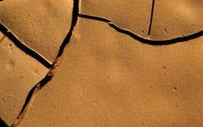 Life underground, down under