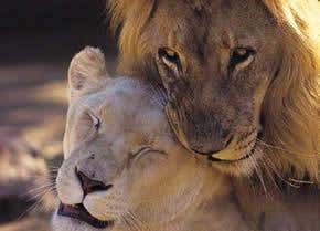 Inbreeding: Keeping it in the family