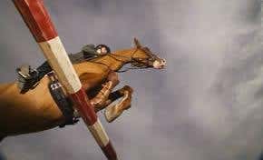 Saddle up the cloned sport horses