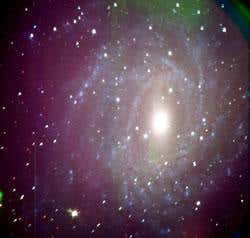 New Scientist. Science news and long reads from expert journalists, covering developments in science, technology, health and the environment on the website and the magazine.