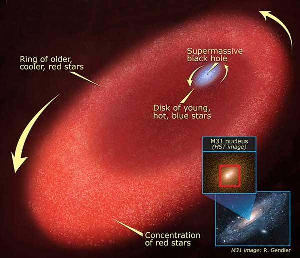 New Scientist. Science news and long reads from expert journalists, covering developments in science, technology, health and the environment on the website and the magazine.