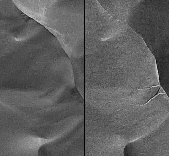 New Scientist. Science news and long reads from expert journalists, covering developments in science, technology, health and the environment on the website and the magazine.