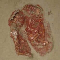 New Scientist. Science news and long reads from expert journalists, covering developments in science, technology, health and the environment on the website and the magazine.