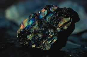 Clean energy special: A greener goal for coal