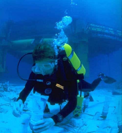 New Scientist. Science news and long reads from expert journalists, covering developments in science, technology, health and the environment on the website and the magazine.