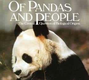 Book thrown at proponents of Intelligent Design