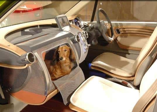 Cleaner, crazier cars on show in Tokyo