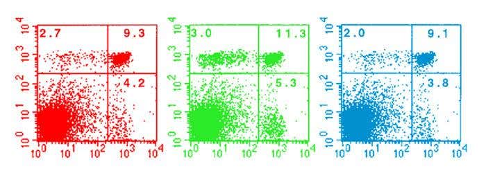 MIT professor sacked for fabricating data