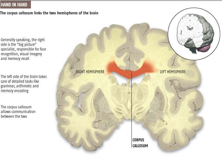 New Scientist. Science news and long reads from expert journalists, covering developments in science, technology, health and the environment on the website and the magazine.