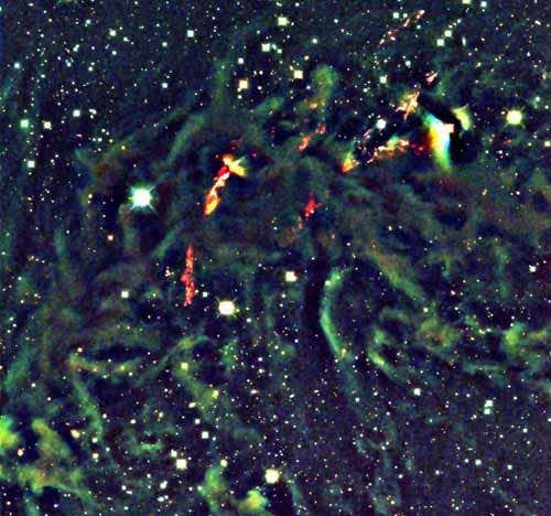 New Scientist. Science news and long reads from expert journalists, covering developments in science, technology, health and the environment on the website and the magazine.