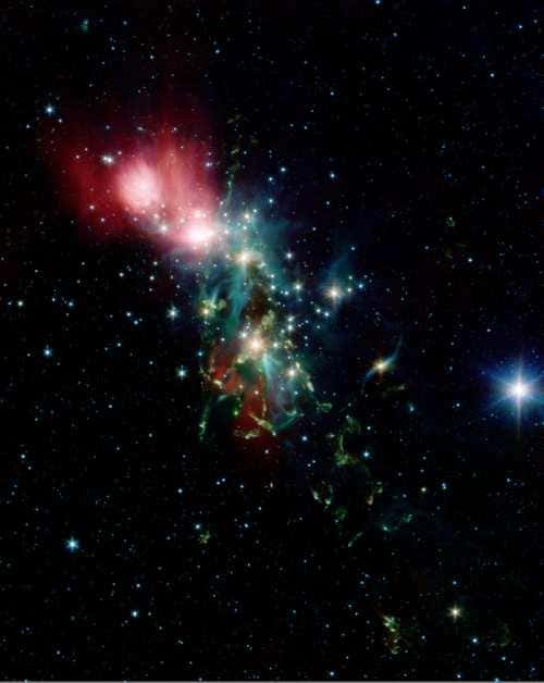 New Scientist. Science news and long reads from expert journalists, covering developments in science, technology, health and the environment on the website and the magazine.