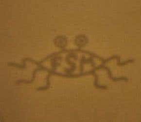 Living camera uses bacteria to capture image