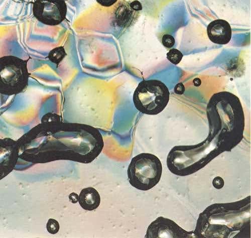 New Scientist. Science news and long reads from expert journalists, covering developments in science, technology, health and the environment on the website and the magazine.