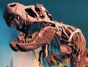 New Scientist. Science news and long reads from expert journalists, covering developments in science, technology, health and the environment on the website and the magazine.