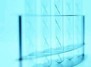 Anonymous sperm donor traced on internet