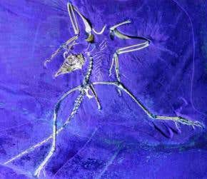 Cannabis doubles the risk of fatal crashes