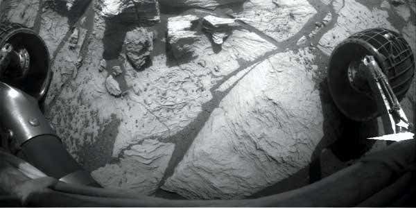 New Scientist. Science news and long reads from expert journalists, covering developments in science, technology, health and the environment on the website and the magazine.