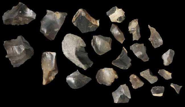 New Scientist. Science news and long reads from expert journalists, covering developments in science, technology, health and the environment on the website and the magazine.