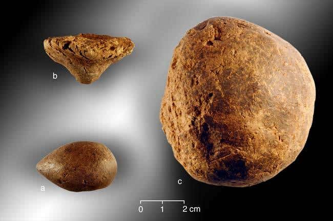 Ancient citadel shows scars of mass warfare