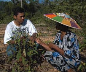 Biodiversity: a new perspective